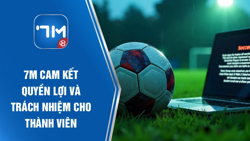 7M Sports cam kết quyền lợi và trách nhiệm cho thành viên